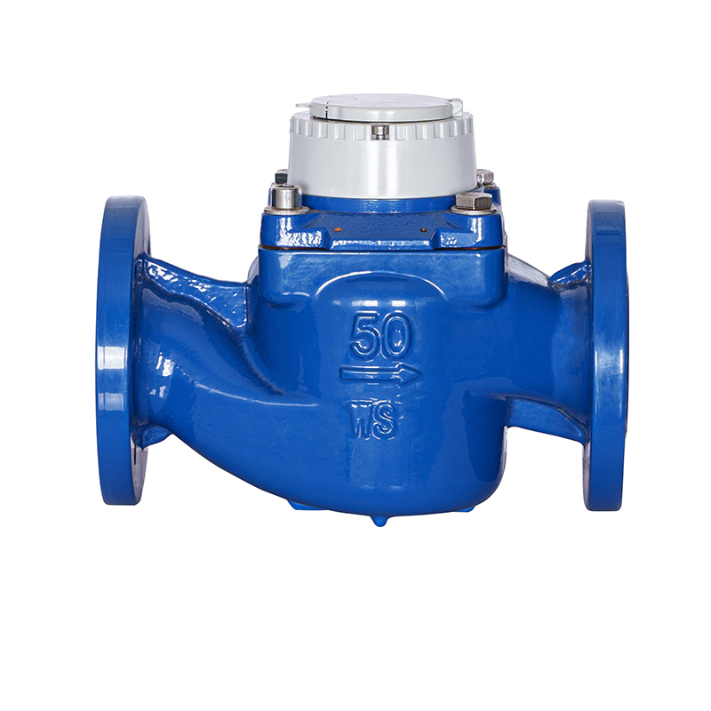WS-DN40-DN200 عداد مياه عالي الدقة بجناح حلزوني عمودي قابل للفصل