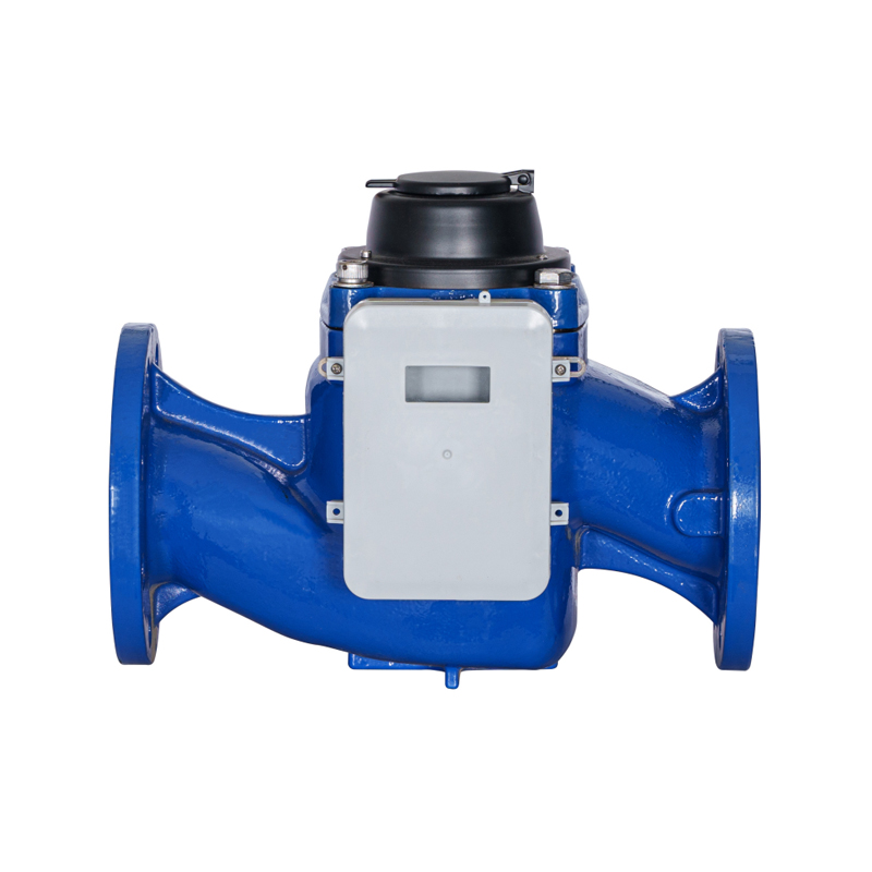 WS-DN40-DN200 عداد مياه NB عالي الدقة بجناح لولبي عمودي قابل للفصل
