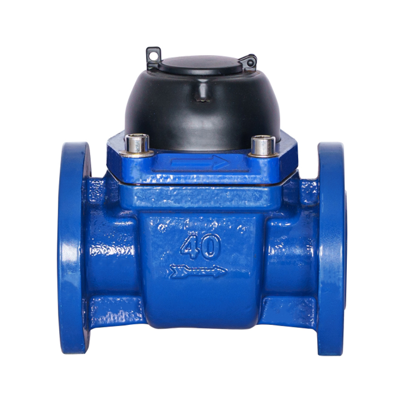 عداد المياه ذو الجناح الحلزوني الأفقي WPH-DN40-DN65WPH